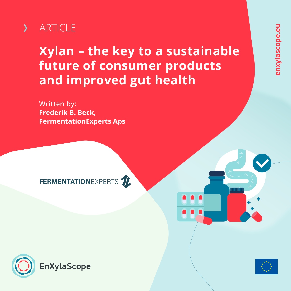 Xylan – the key to a sustainable future of consumer products and improved gut health